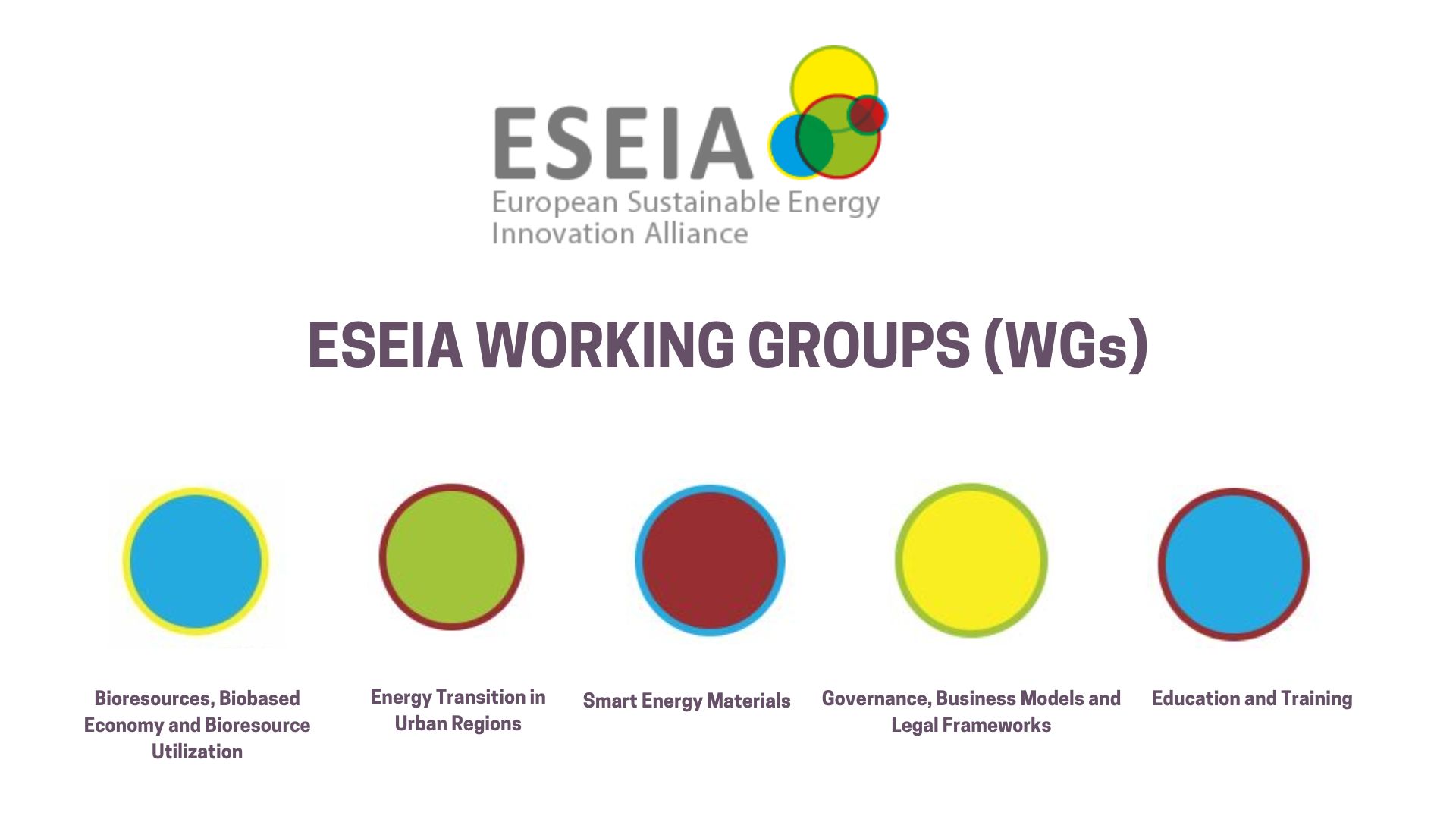 ESEIA Working Groups Define Joint Work Programme 2025 