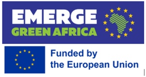 Spotlight on EMERGE Project