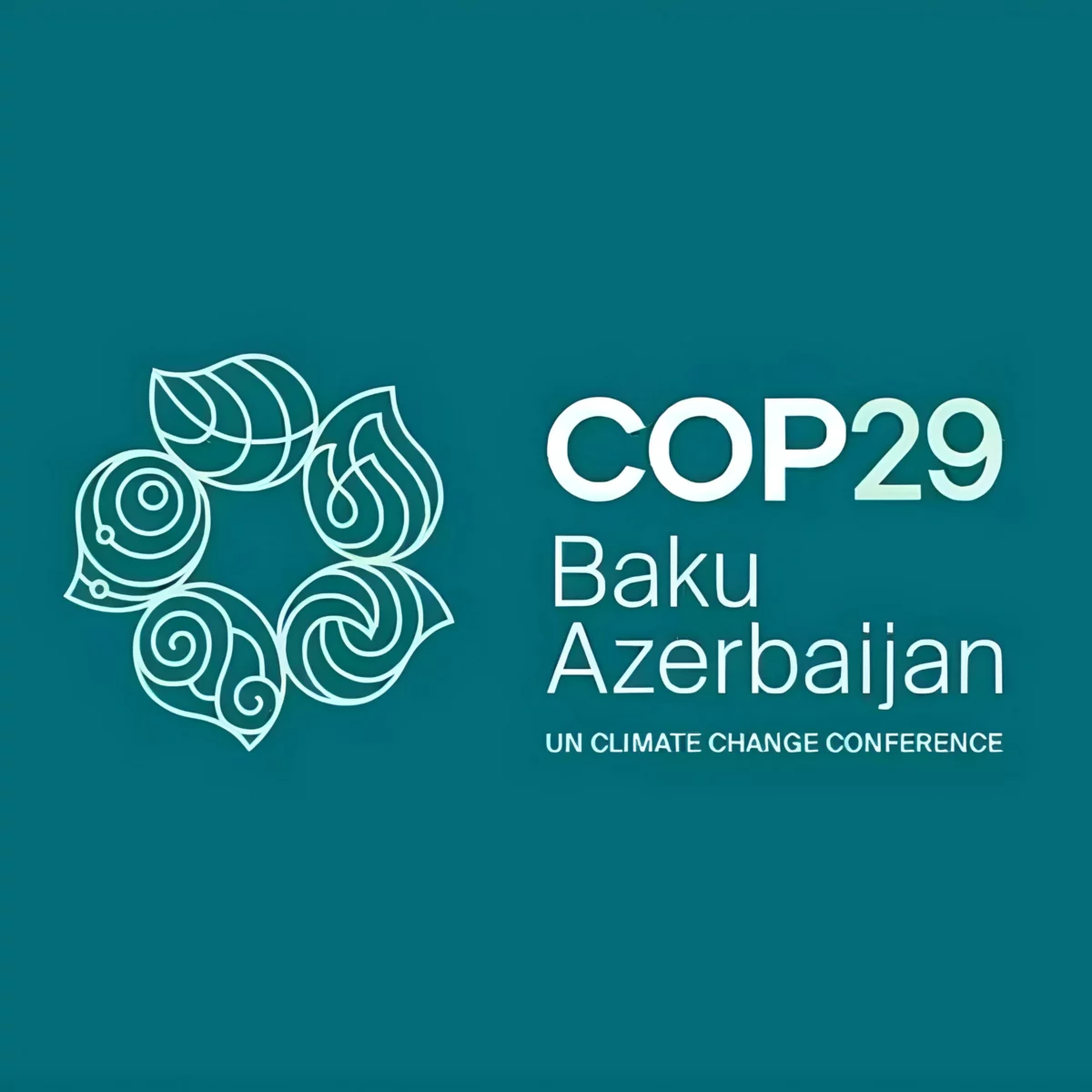 COP29 Outcomes: Progress and Challenges in Global Climate Action