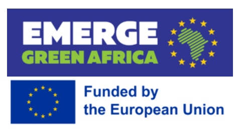 EMERGE Project | Latest Updates 