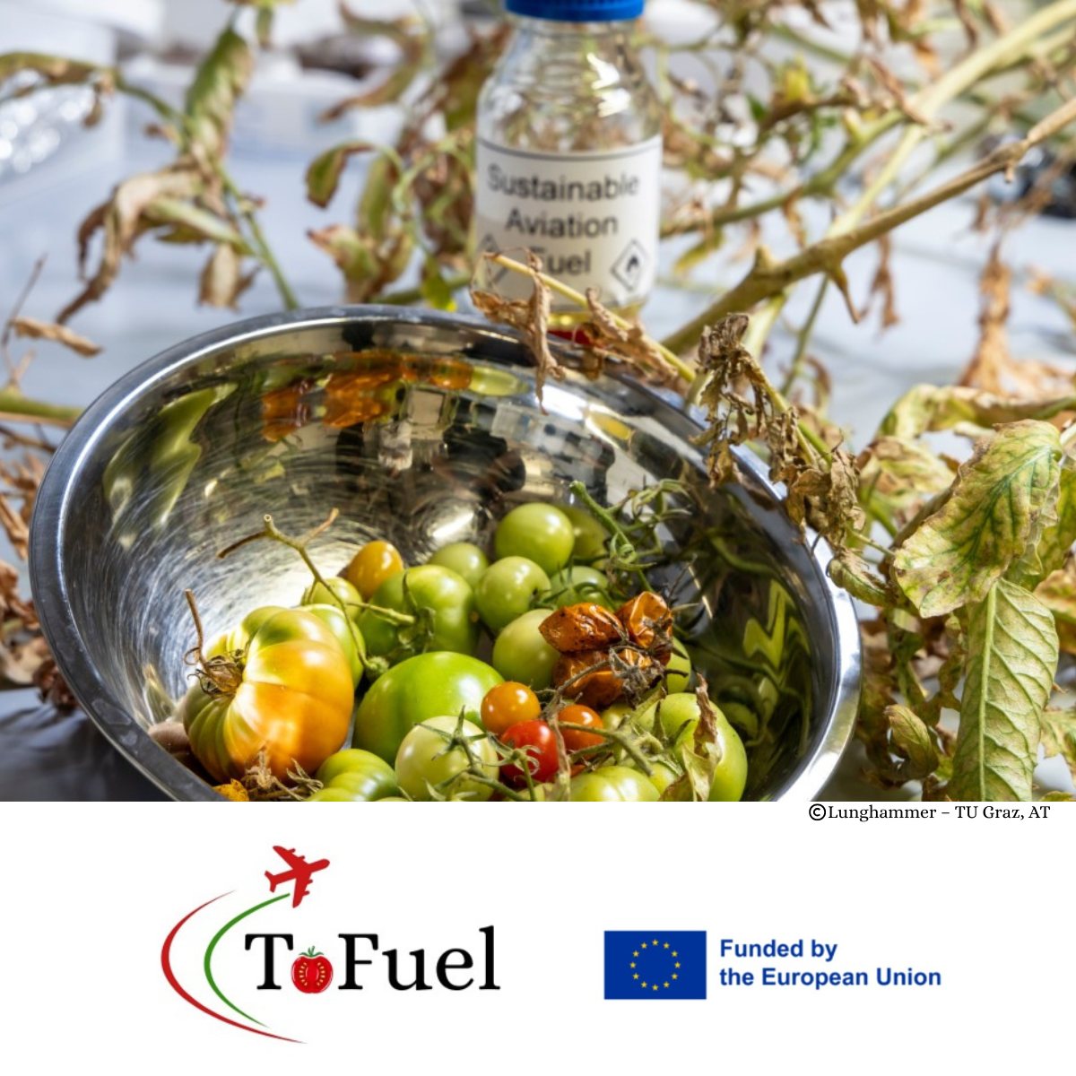 ESEIA Vice-President Teresa Ponce de Leão Featured in Portuguese Media on Aviation Decarbonisation