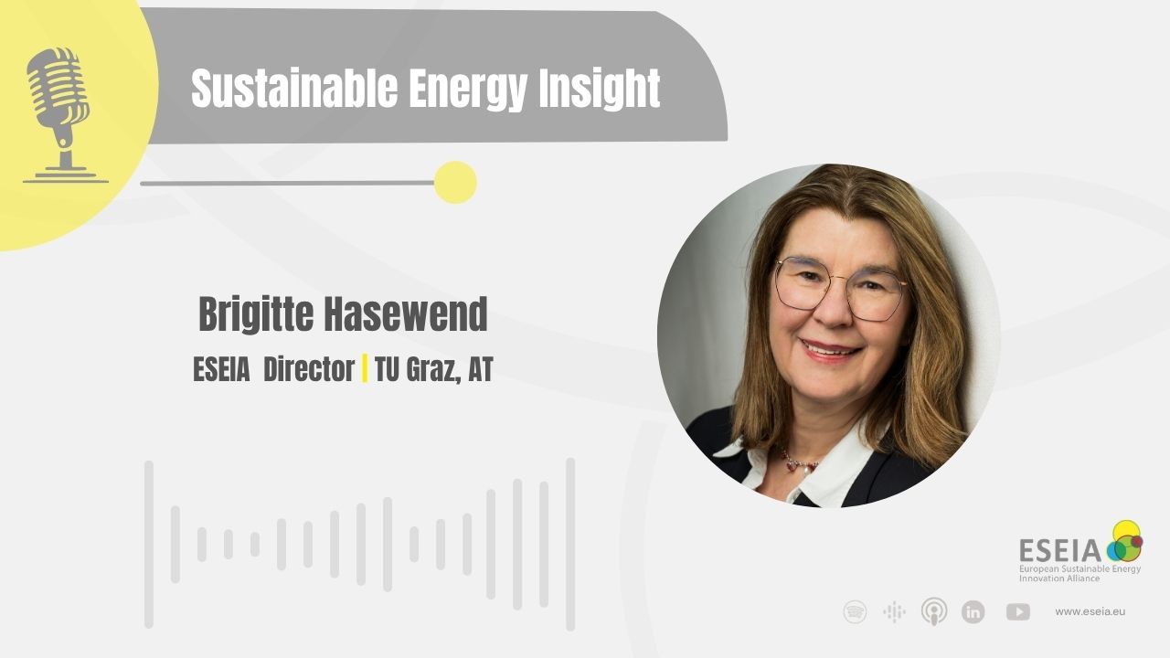 Building Europe’s Energy Innovation Ecosystem: Insights from ESEIA Director Brigitte Hasewend